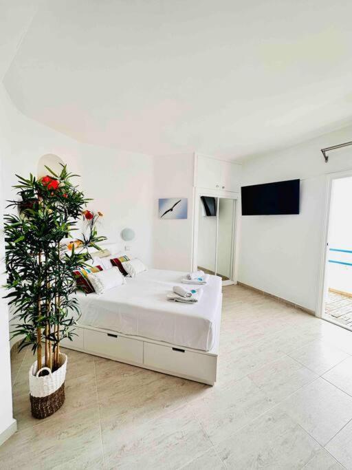 Mirador Paraiso: Superb Sea View 플라야 파라이소 외부 사진